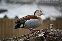 alternativní popis obrázku chybí