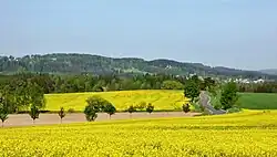 Zuberský vrch v georeliéfu Kameničské vrchoviny (přibližně od jihovýchodu)