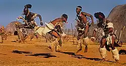 Hein Waschefort: Domorodci tančí tanec Zulu