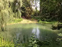 Minerální jezírko na Borové hoře