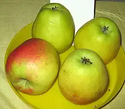 Srovnání: Zvonkové