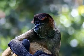 alternativní popis obrázku chybí