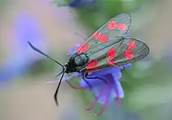 alternativní popis obrázku chybí