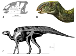 alternativní popis obrázku chybí