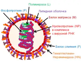 popis obrázku chybí