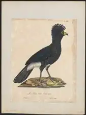 Paul Louis Oudart, ~1825–1834