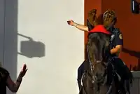 Vladimír Birgus, Miami, 2012