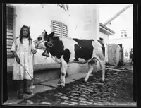 Bildnis einer Kuh vor dem Restaurant von La Chaux-d'Abel