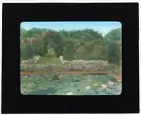 Francis Burrall Hoffman house, Southampton, New York. Lily pool.