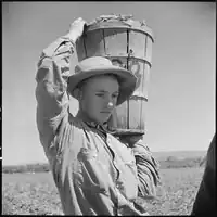 Monterey County, Kalifornie