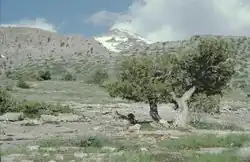 Pohled na vrchol Aýrybaby z náhorní plošiny Kugitangtau v sousedním Turkmenistánu