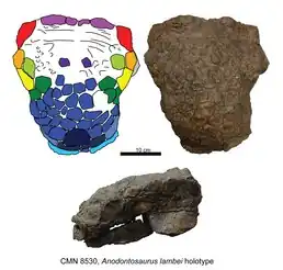 alternativní popis obrázku chybí