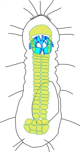alternativní popis obrázku chybí