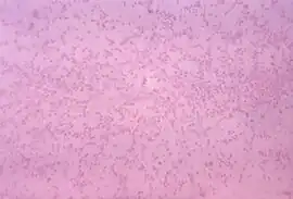 popis obrázku chybí